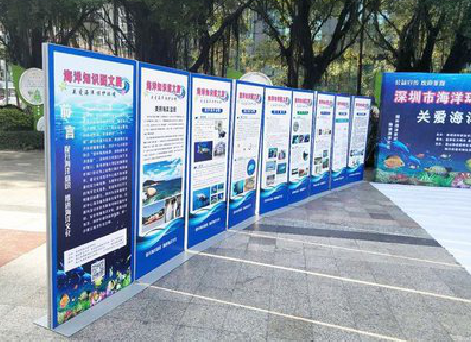 织金KT板的种类和知识。